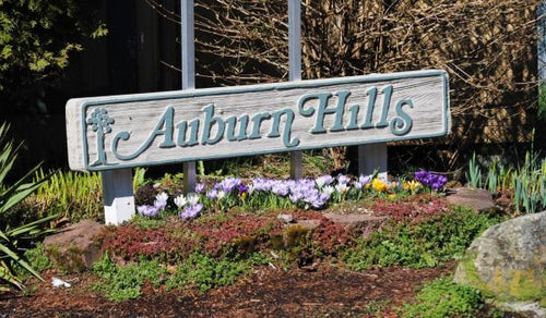 Auburn Hills Community